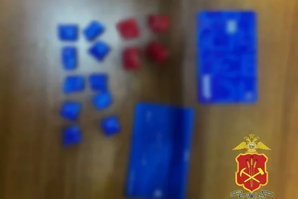 Кузбассовца задержали с наркотиком в особо крупном размере: ему грозит до 20 лет тюрьмы 