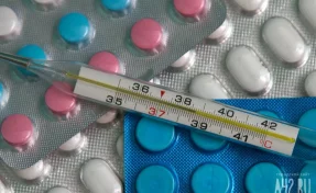 Вирусолог сказал, когда будет пик заболеваемости гонконгским гриппом в России