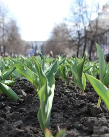 Фото: <a href=https://t.me/gazetakemerovo/30994>Антон Мелентьев</a> / администрация города Кемерово