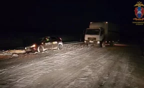 В Кузбассе полицейские помогли вылетевшему с трассы водителю