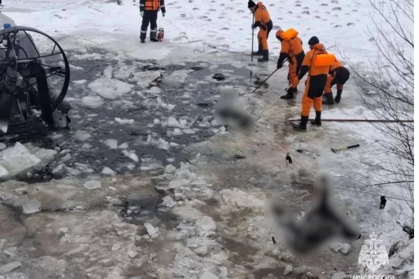 В Башкирии спасатели достали со дна озера более 350 погибших овец