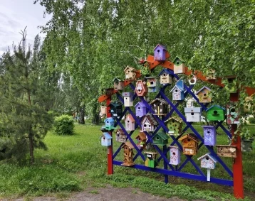 Фото: Стал заметнее: в Кемерове на ФПК обновили необычный арт-объект 1