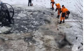 В Башкирии спасатели достали со дна озера более 350 погибших овец