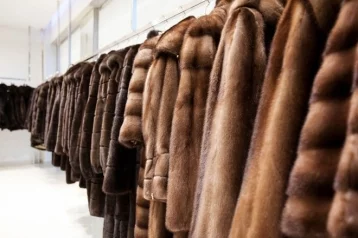 Фото: Более 900 меховых изделий в Кузбассе продавали с нарушениями 1