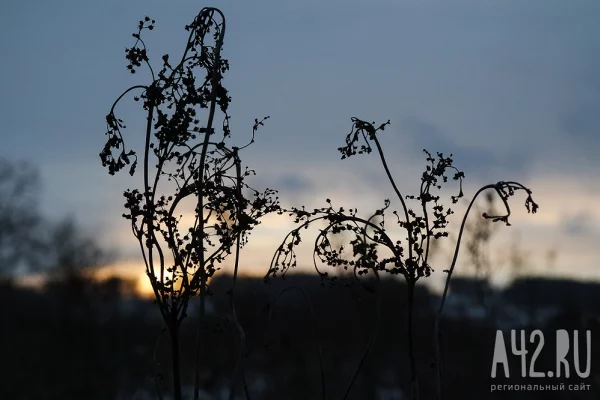 День Фёдора Тирона и праведной Мариамны Кикиморы: приметы на 2 марта