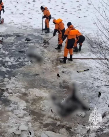 В Башкирии спасатели достали со дна озера более 350 погибших овец