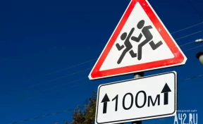 «ЛизаАлерт»: дети особенно часто пропадают в период весенних и летних каникул