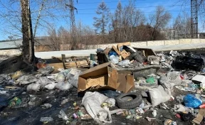 В Новокузнецке исчезла стихийная свалка после вмешательства прокуратуры