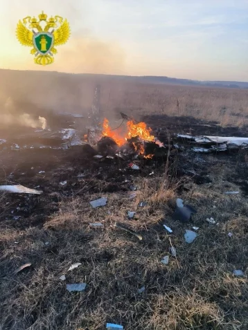 Фото: В Московской области при крушении легкомоторного самолёта погибли 2 человека 1