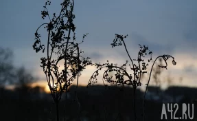 День Фёдора Тирона и праведной Мариамны Кикиморы: приметы на 2 марта