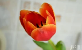 Россиян в марте ждут очередные длинные выходные