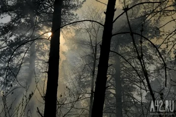 Фото: В Бурятии лесные пожары охватили более 52 000 гектаров, их тушат 500 человек 1
