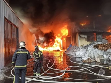 Фото: Опубликовано видео мощного пожара на складе со стройматериалами в Подмосковье 1
