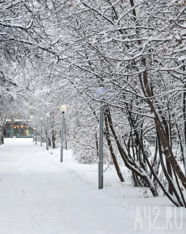 В Кузбассе похолодает до -23 к концу рабочей недели