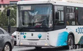 В Кемерове 9 компаний получат субсидии на перевозку пассажиров: власти опубликовали список