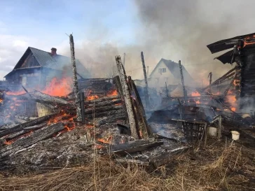 Фото: Александр Рыбалко / Telegram