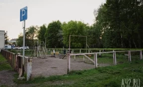Власти Кемерова потратят 1,7 млн рублей на ремонт площадки для собак