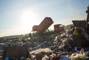 Фото: Назван регион России с самым дорогим вывозом мусора 1