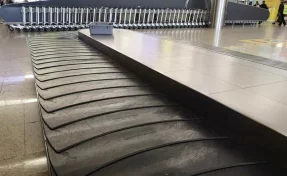 Пассажир попал в психбольницу после потери багажа