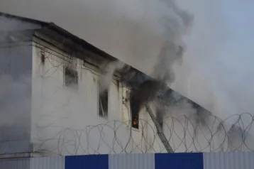 Фото: В колонии в Свердловской области произошёл крупный пожар 1