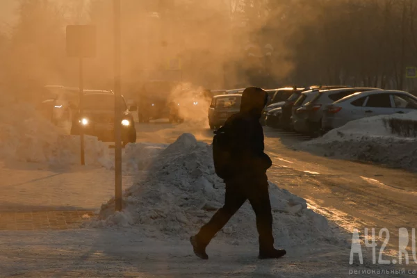 Вильфанд рассказал, какой будет зима