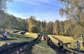 Фото: В Кузбассе высадят 2,5 млн деревьев 1