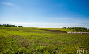 В Кузбассе власти передадут угольщикам ещё почти 30 гектаров сельхозземель 