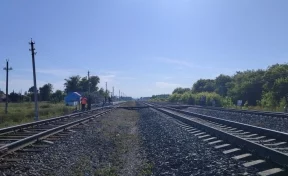 В Алтайском крае поезд насмерть сбил человека