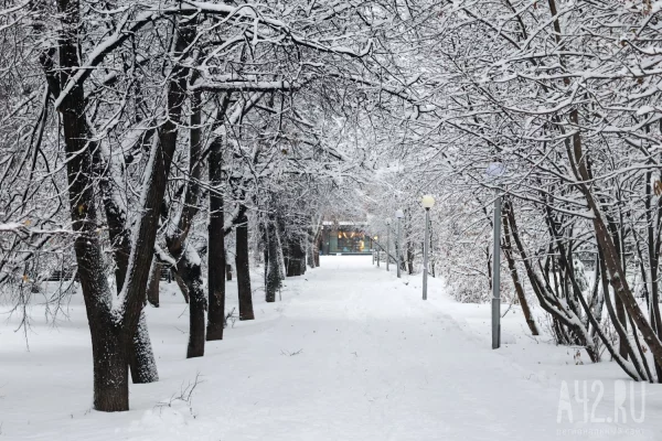 В Кузбассе похолодает до -23 к концу рабочей недели