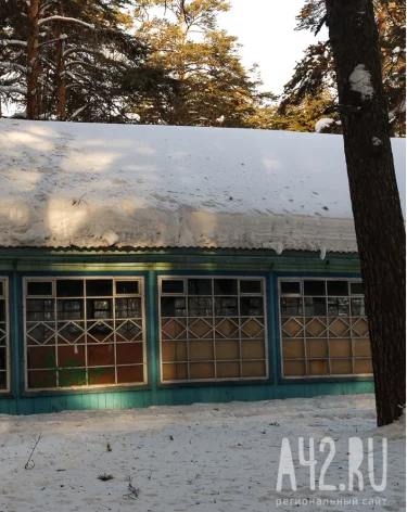 Фото: A42.RU, видео: <a href=https://t.me/gazetakemerovo/29196?single>Александр Чаринцев</a> / администрация Кемерова