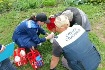 Фото: В Кемерове вода подтапливает дома на двух улицах несколько месяцев: мэр отправил комиссию 1