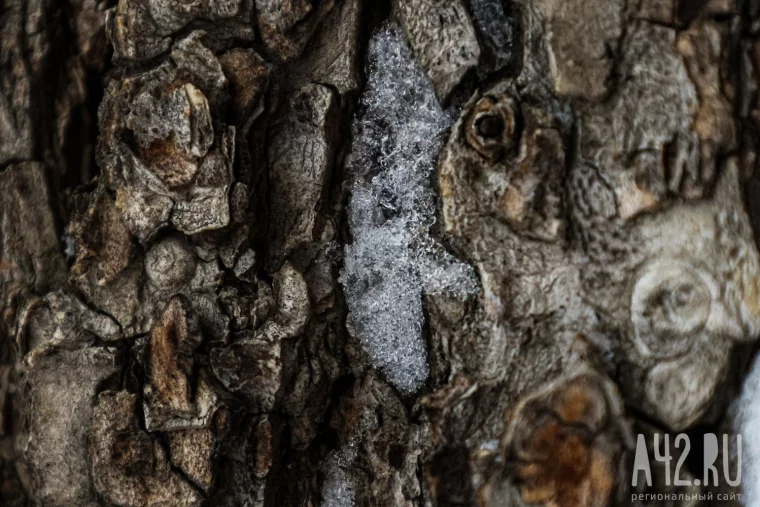 Фото: Весна на паузе: когда снег ещё держится 25