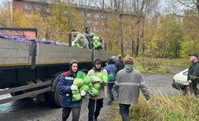 Более 9 тысяч семей получили бесплатные овощные наборы в Кузбассе