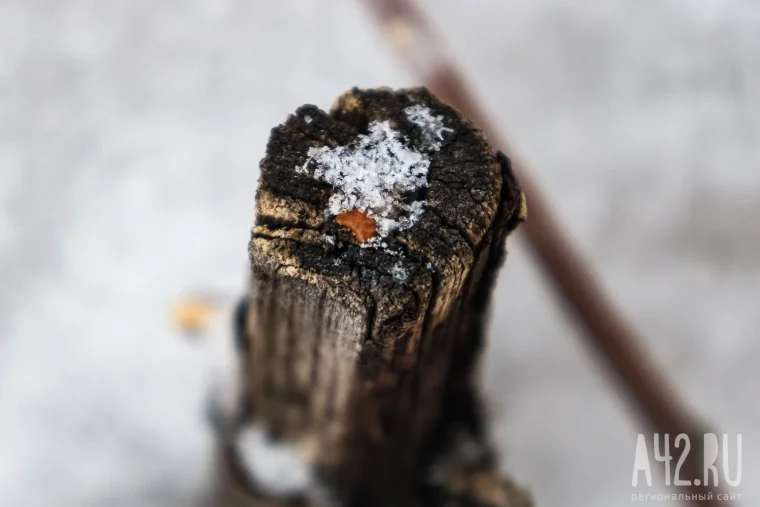 Фото: Весна на паузе: когда снег ещё держится 26