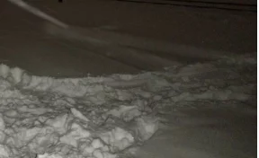 Кемеровчанина переехал поезд