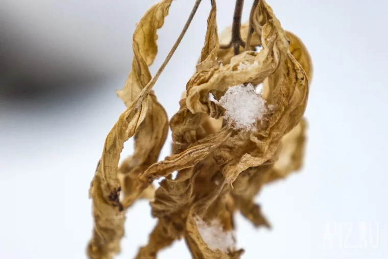 Фото: Весна на паузе: когда снег ещё держится 28