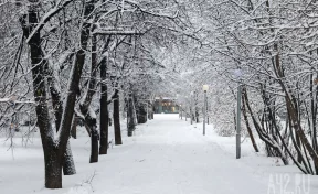 В Кузбассе похолодает до -23 к концу рабочей недели