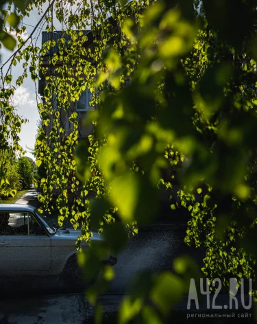 Фото: A42.RU