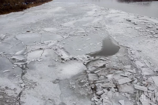 МЧС: Тело пропавшей в Звенигороде девочки нашли в 9 километрах от штаба