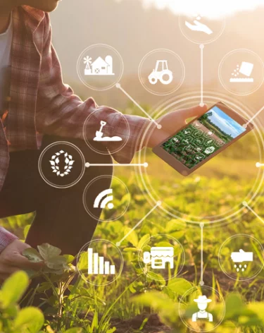 Стартовала регистрация на Всероссийский конкурс «Я в Агро»