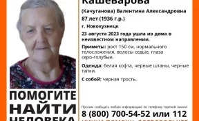 В Кузбассе начались поиски пропавшей без вести 87-летней женщины с чёрной тростью