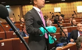 В ПАСЕ раскритиковали депутата Рады за выступление в резиновых перчатках