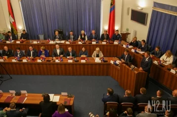 Фото: Депутаты изберут нового главу города Кемерово 10 ноября: на пост претендуют 8 человек 1