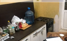 В Московской области полуторагодовалый ребёнок погиб от падения электрической плиты