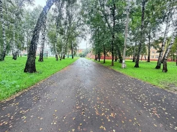 Фото: СГК завершила благоустройство территорий у кемеровских школ и детских садов перед началом учебного года 1
