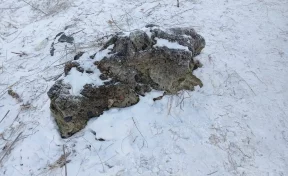В Красноярске подросток влетел в камень во время катания с опасной горки на тюбинге 