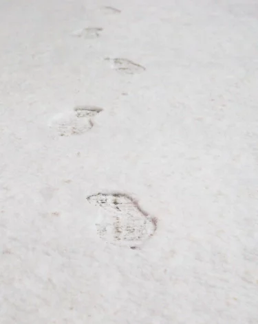 В Гидрометцентре рассказали, в каких регионах выпал снег