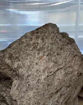 Фото: <a href=https://customs.gov.ru/press/federal/document/676687>ФТС</a>