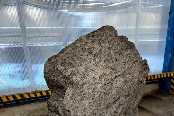 Из России хотели вывезти осколок метеорита Алетай стоимостью 323 млн рублей