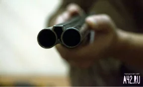 Житель Топкинского округа застрелил соседского полуторагодовалого щенка